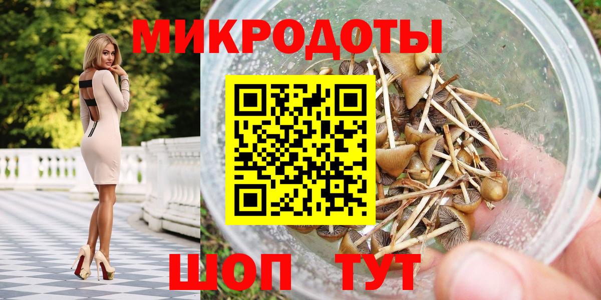 Галлюциногенные грибы Cubensis Белебей