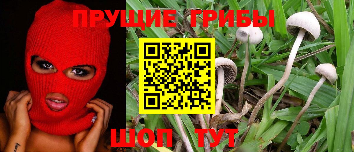 Псилоцибиновые грибы MAGIC MUSHROOMS  Вход с VPN  Белебей 